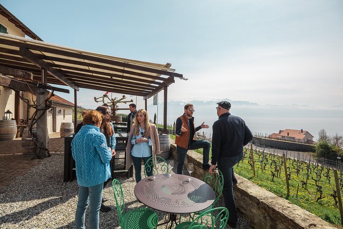 Dégustation et Visite panoramique des vins de Lavaux (Suisse)